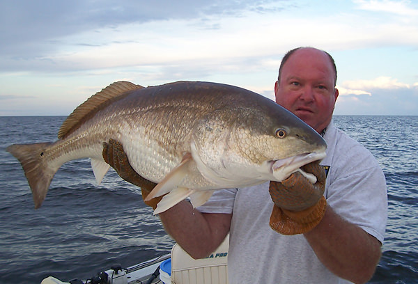 Elite Inshore Charters